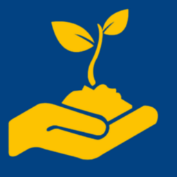 Nidhi Capital Logo - Mutual Fund & SIP Experts Thane Mumbai